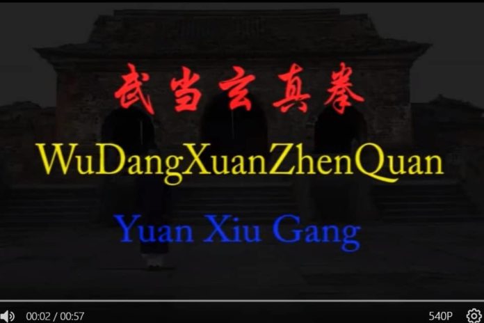 video-xuanzhenquan