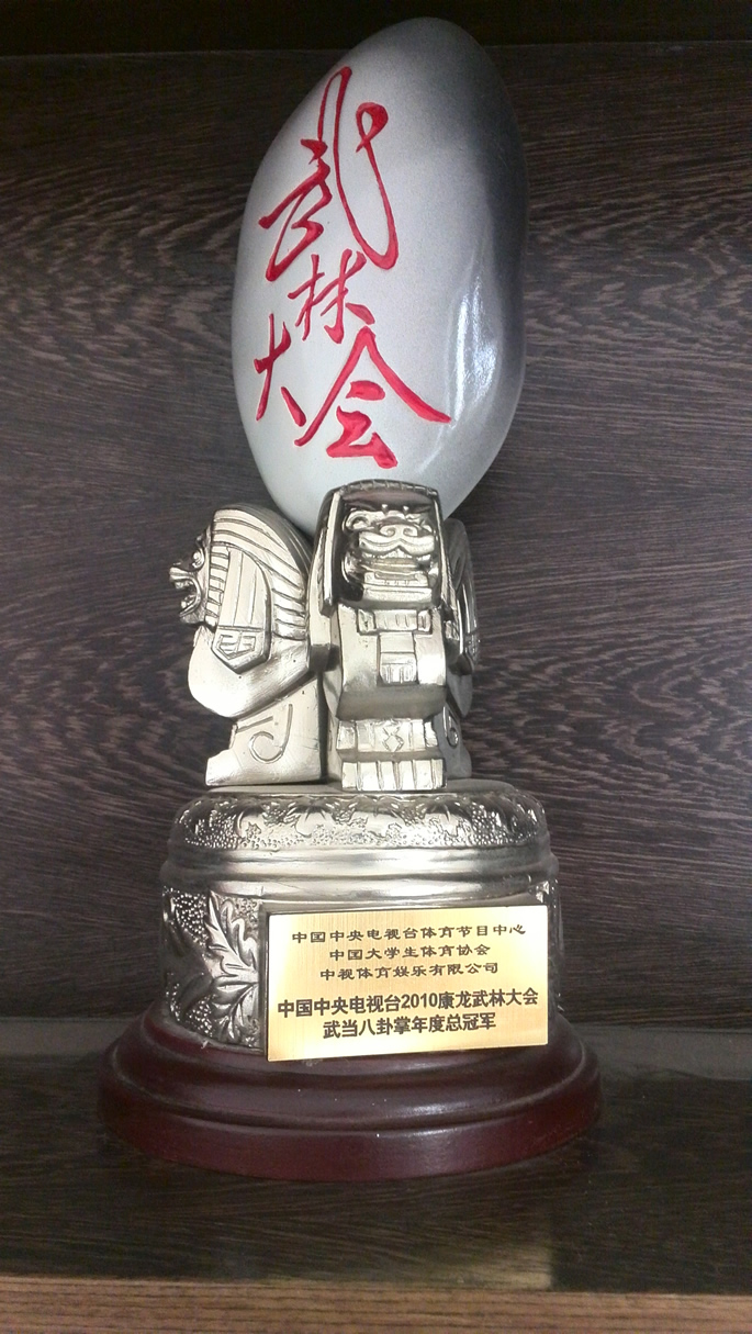 中央电视台2010康龙武林大会武当八卦掌年度总冠军