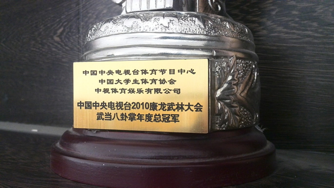 中央电视台2010康龙武林大会武当八卦掌年度总冠军